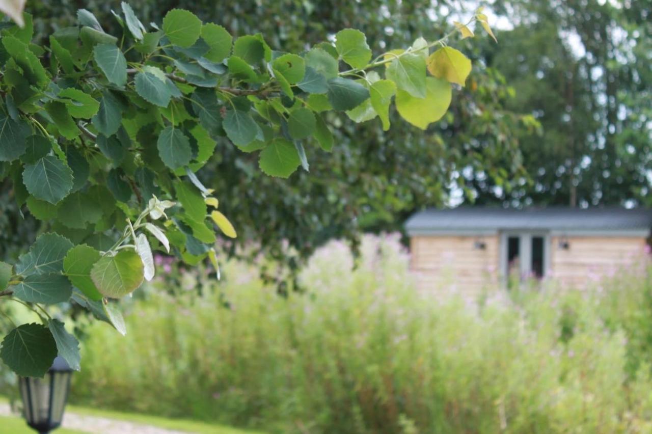 Perkemahan Luxury Shepherds Hut - The Moorhen By The
